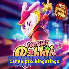 canva pro bingotingo